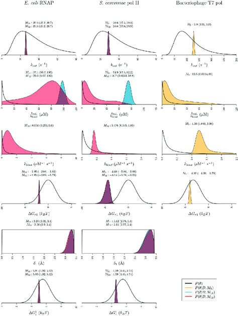 box plot of posterior distribution|diagram of posterior distribution.